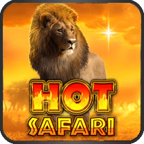 Hot Safari